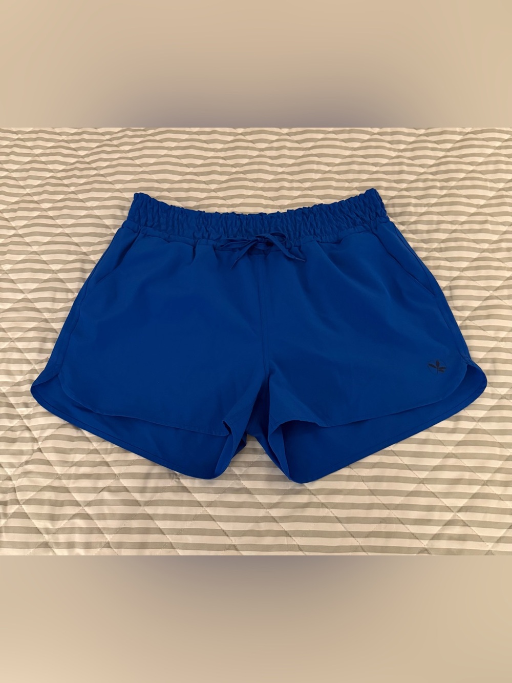 Carve Designs Shorts Women’s Medium Blue Stretch Pull On Gym Beach New Pockets